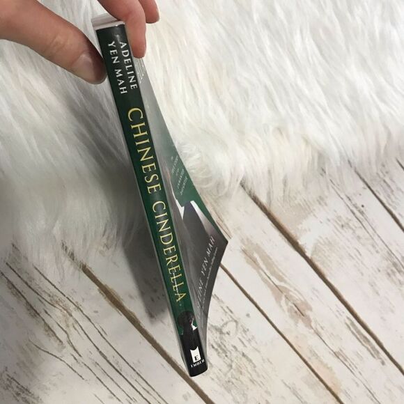 Chinese‎ Cinderella Novel Book Chapter Book Young Adult - Picture 3 of 7